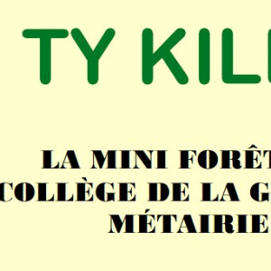 Ty Killi